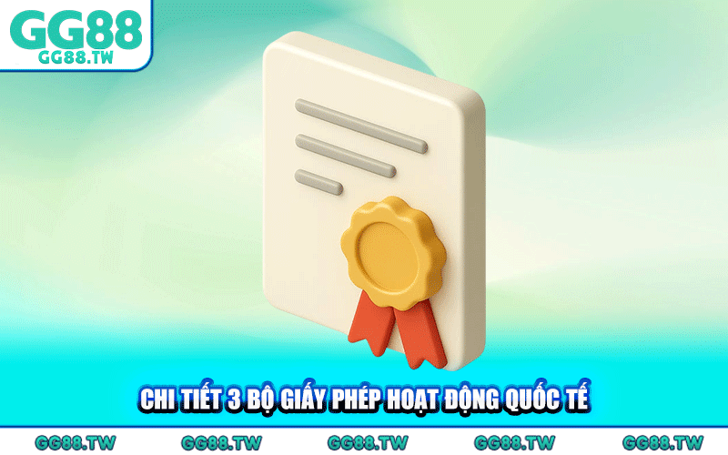 Chi Tiết 3 Bộ Giấy Phép Hoạt Động Quốc Tế