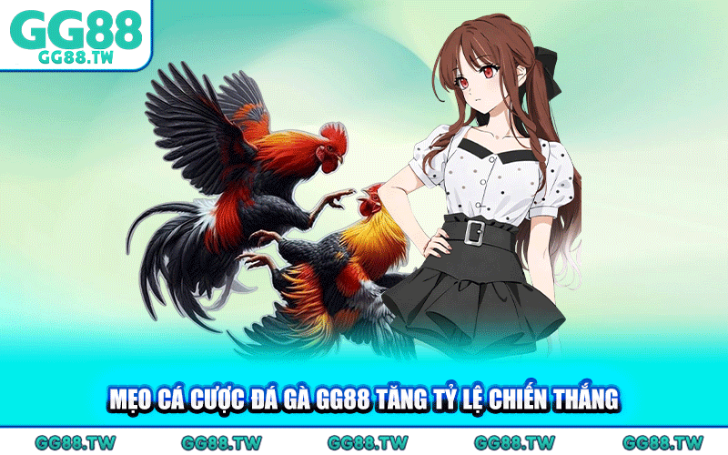Mẹo Cá Cược Đá Gà GG88 Tăng Tỷ Lệ Chiến Thắng